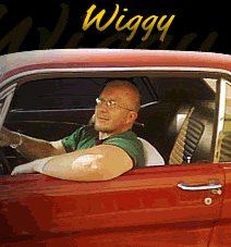 Wiggy